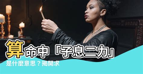 子息二支意思